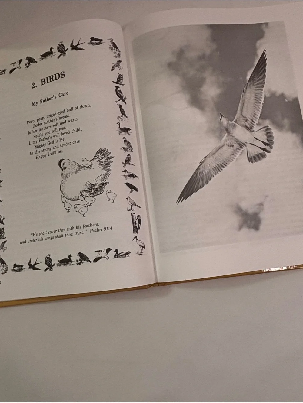 Rod and Staff Publishers hardcover book